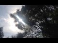 Flying Lotus - Auntie's Lock/Infinitum