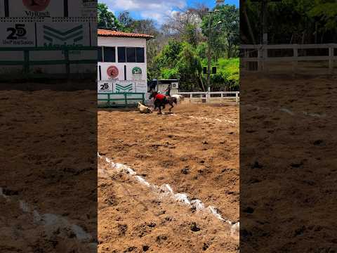 Final do Campiv 2025 🔥 | Campeonato Piauiense de Vaquejada – Etapa Parque Dirceu Arcoverde