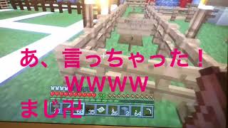 「実況」マインクラフトPART2 部屋の中を探れ！オープニングとるの忘れました！