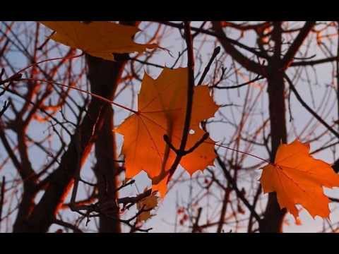 Klaviermusik - Sad Piano Vol. 3 - Meditationsmusik - Abschied -