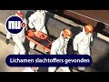 Bergers lichten wrak van gezonken boot op Donau | NU.nl
