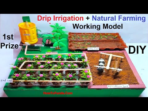 drip irrigation working model making using waste materials science projects DIY howtofunda