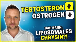 Testosteron steigern mit liposomalem CHRYSIN? Östrogen runter und Muskelaufbau verbessern?