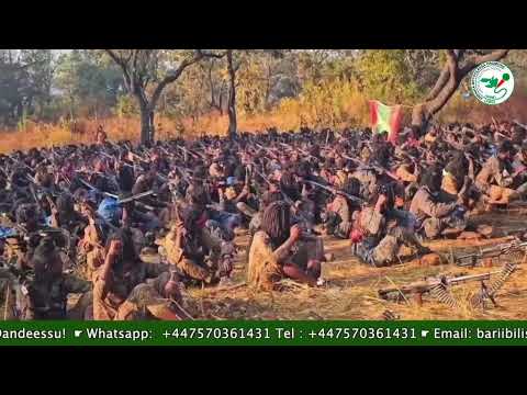 Gabaasa Tarkaanfii  ONM-ABO Amajjii 9-2026 itti dhiyaadhaa!