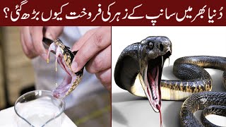 Why has the sale of snake venom increased?|دنیا بھر می  سانپ کے زہ  کی فروخت کیوں بڑھ گئی|YOUSAF TV