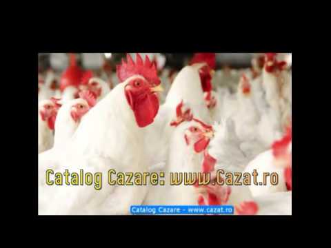 Cazare Pripoare, Mures - Cazat.ro