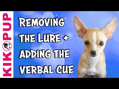 What is Clicker Training