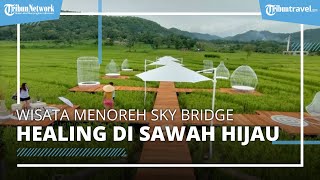 Menikmati Sejuknya Angin di Menoreh Sky Bridge, Healing di Persawahan Hijau dengan Harga Terjangkau