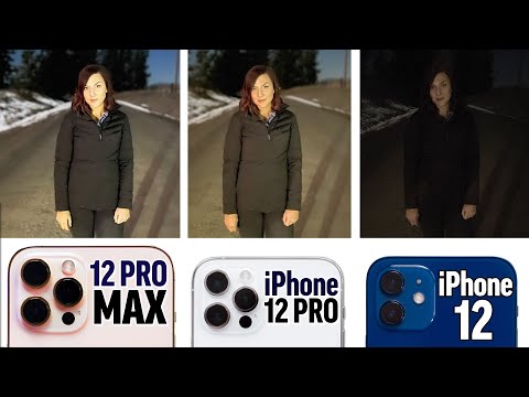 iPhone 12 Pro Max vs 12 Pro vs 12 - Honest Camera Comparison!