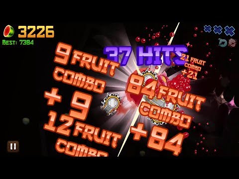Fruit Ninja Classic Mode High Score: 7451