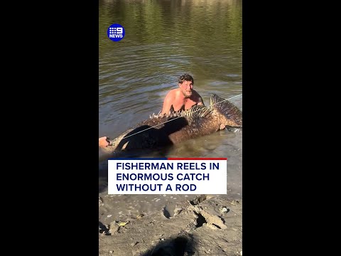 Fisherman reels in enormous catch without a rod | 9 News Australia