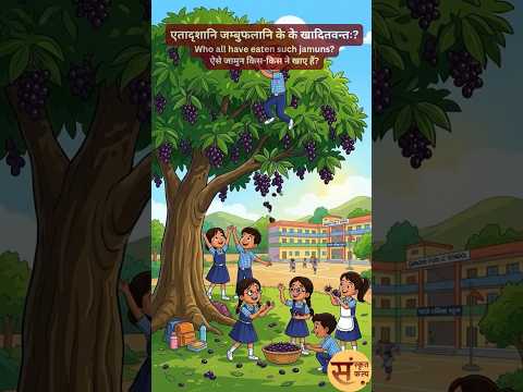 किं, कुत्र, कति? (क्या, कहाँ, कितने? — प्रश्नवाचक शब्दों का अभ्यास) #sanskritkalp