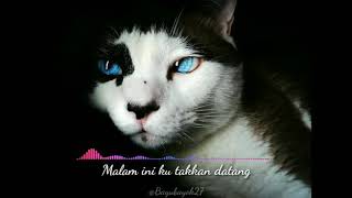 Download lagu Story Whatsapp Terbaru - Backsound Sephia Sheila On7 (Julia Vio Cover) mp3 Download lagu Story Whatsapp Terbaru - Backsound Sephia Sheila On7 (Julia Vio Cover) mp3