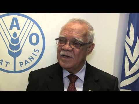 Remarks by Samoan Minister for Agriculture and Fisheries, Le Mamea Ropati Mualia