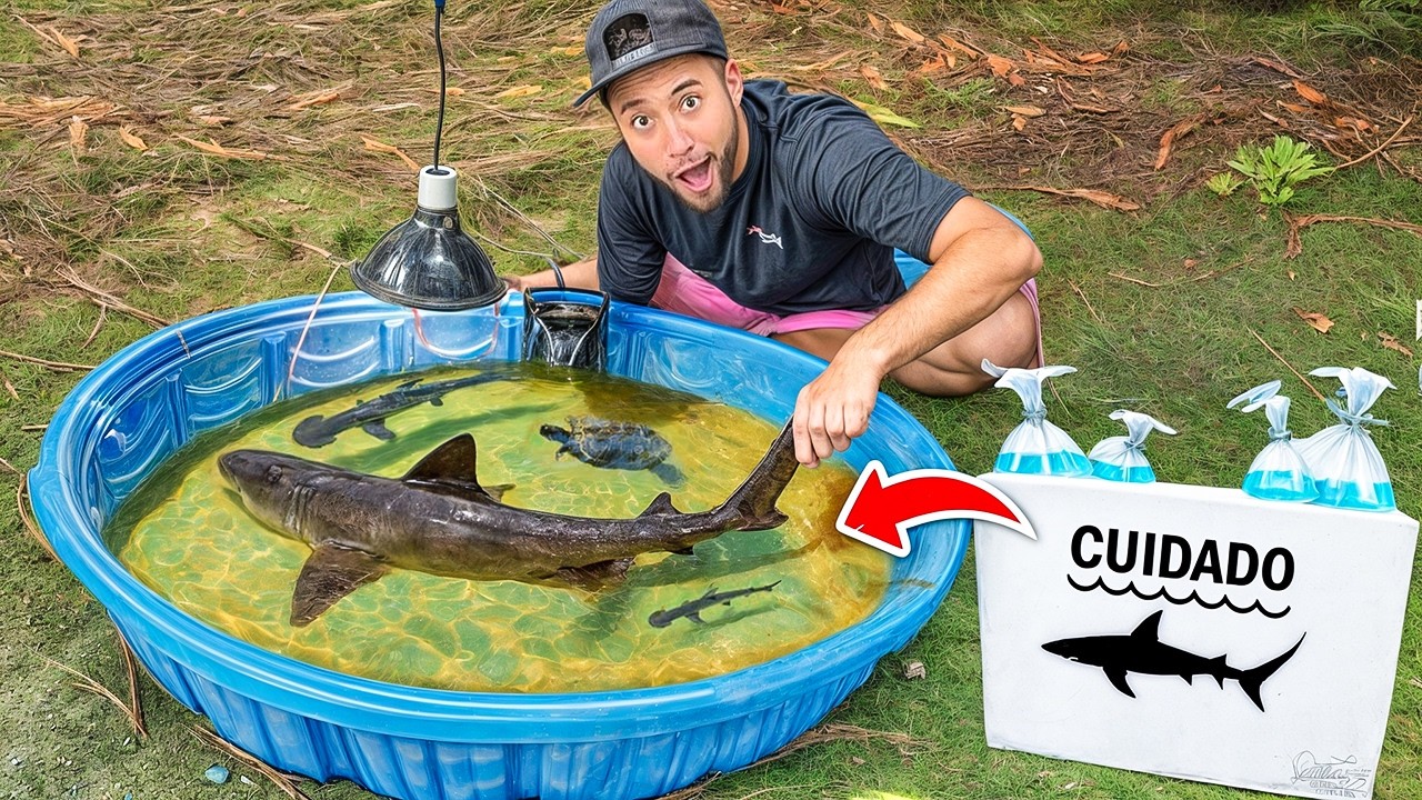 COLOCANDO TUBARÕES no MEU LAGUINHO de PEIXES