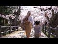 Trip To Takato Castle Ruins Park In Ina City Nagano Prefecture During Cherry Blossoms