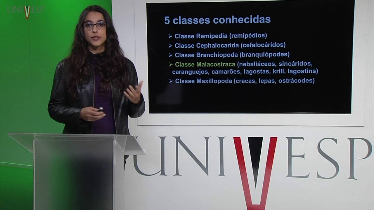 Zoologia de Invertebrados - Aula 21 - Filo Arthropoda: Crustacea