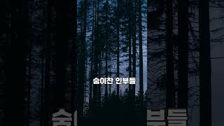 Download lagu [킬리 공포라디오]무덤 뒤 피로 얼룩진 도라지 밭과 벌초를 떠난 아버지 공포 무서운 이야기 #해외사건 #무서운이야기 #기막힌  #귀신 mp3