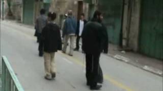 preview picture of video 'Palestina,Hebron:documentario interposizione pacifica ISM (3)'