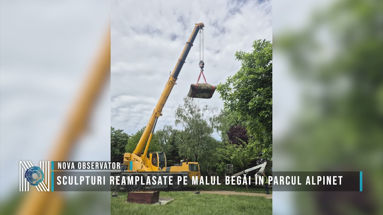 Sculpturi reamplasate pe malul Begăi în Parcul Alpinet