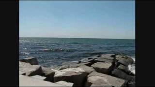 Blue - All Rise & Perfect Blue - ft Lloyd Cole - Magic City Beach