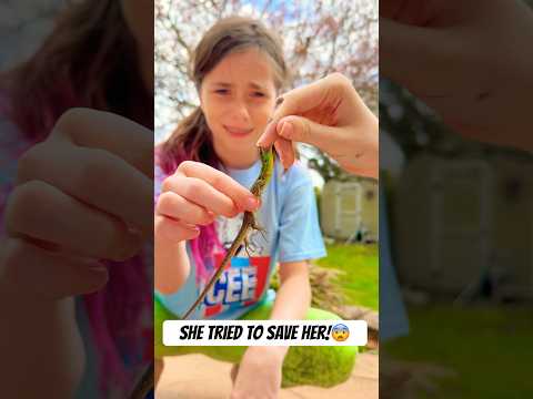She tried to SAVE HER!😨