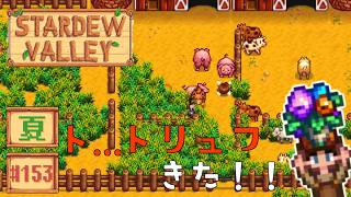 【Stardew Valley】2年目夏20・21日目 ルイスよ、トリュフオイルをどうするつもりだ。【スタバレver1.6初見実況】