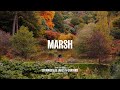 Marsh DJ Set Live From Leonardslee Gardens UK