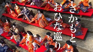 さかもとおひな巡り　今年の展示テーマは【想い】