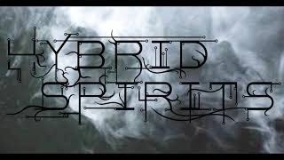 Vision Thing (Sisters of Mercy cover)