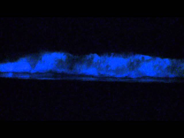 Red Tide Surfing San Diego 2011 - Bioluminescence