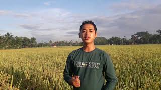 Download lagu YA MAULANA YA ALLAH - Fadi Tolbi Ft Taqi Ghrib / cover by Dhodhi Maulana mp3