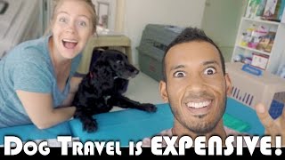 DOG TRAVEL IS EXPENSIVE! - LEAVING THAILAND MOVING TO PORTUGAL DAILY VLOG (ADITL EP309)
