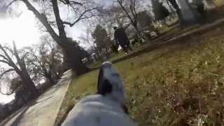 preview picture of video 'Diggy Trip to Cemetery'