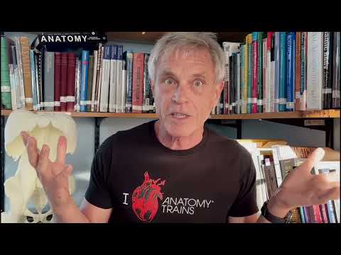 Tom Myers: Can you train fascia?