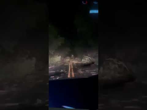 temporal em Querencia do Norte na noite dessa segunda-feira derruba árvores