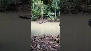 Download lagu jln menuju curug kajayaan Sancang Garut Selatan mp3