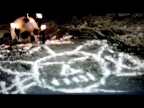 DATURA:  THE DEVIL'S WEED...  Mad Mike talks about Jimson Weed