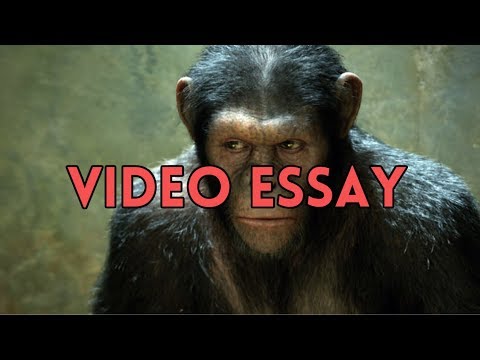 download lagu mp3 mp4 Index Of Rise Of The Planet Of The Apes, download lagu Index Of Rise Of The Planet Of The Apes gratis, unduh video klip Index Of Rise Of The Planet Of The Apes