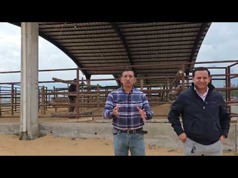 INVITACION A LA EXPOFERIA GANADERA 2026