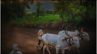 Marathi Shetkari Whatsapp Status Video | Farmer Whatsapp Status Shetkari | Love on Farm