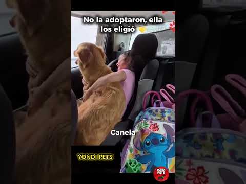 LA HISTORIA DE CANELA.