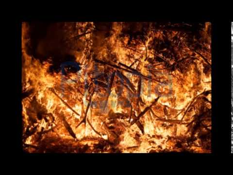 Hannibal Hector, At Ze E & Arbus One - Fegefeuer Foltergarten