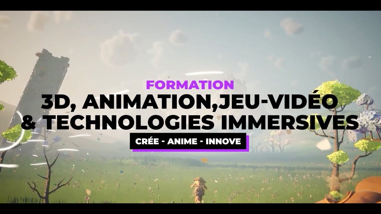 Formation 3D, Animation, Jeu Vidéo et Technologes immersives