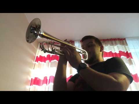 Demo Calicchio 3/9 L Bb Silver Trumpet! Shop condition!