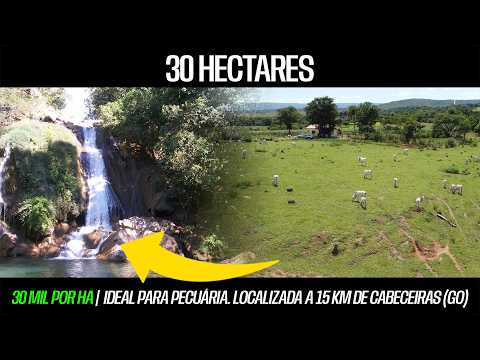 Belíssima terra de 30 hectares – 15 km de Cabeceiras (GO) – 30 mil por ha