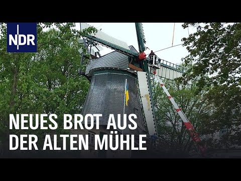 Frischer Wind für die alte Mühle | Die Nordreportage | NDR Doku