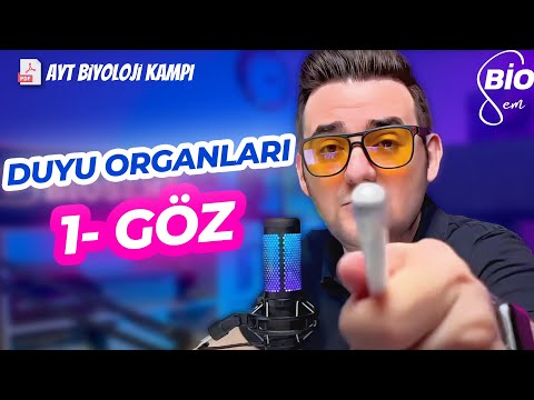 Duyu Organları-1 Göz | Ayt Biyoloji Konu Anlatımı 11. Sınıf | 2024