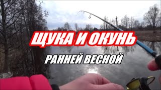Окунь на удочку весной в марте
