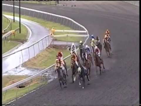 2013 XXXX GOLD TOOWOOMBA CUP